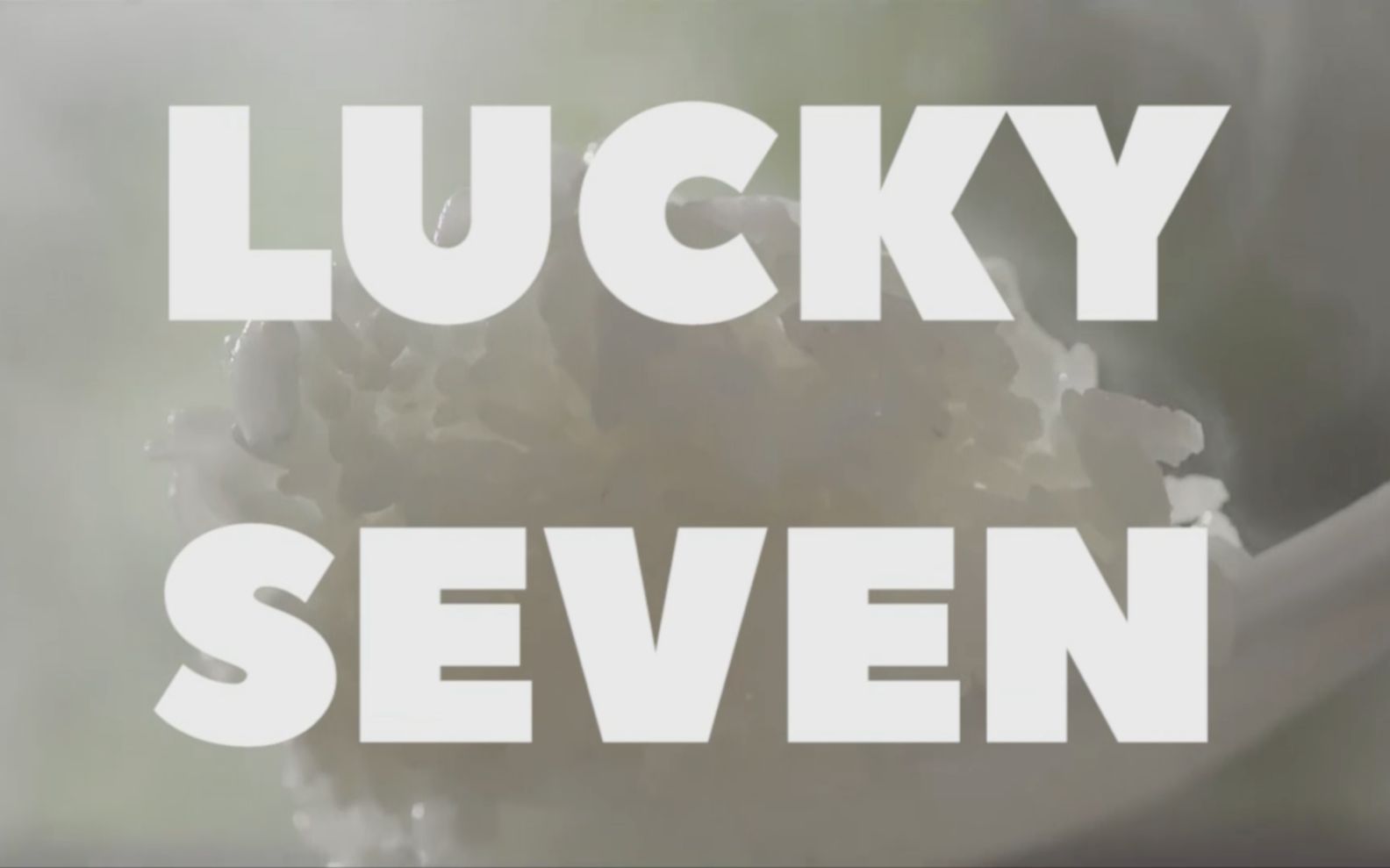 luckyseven小组展示