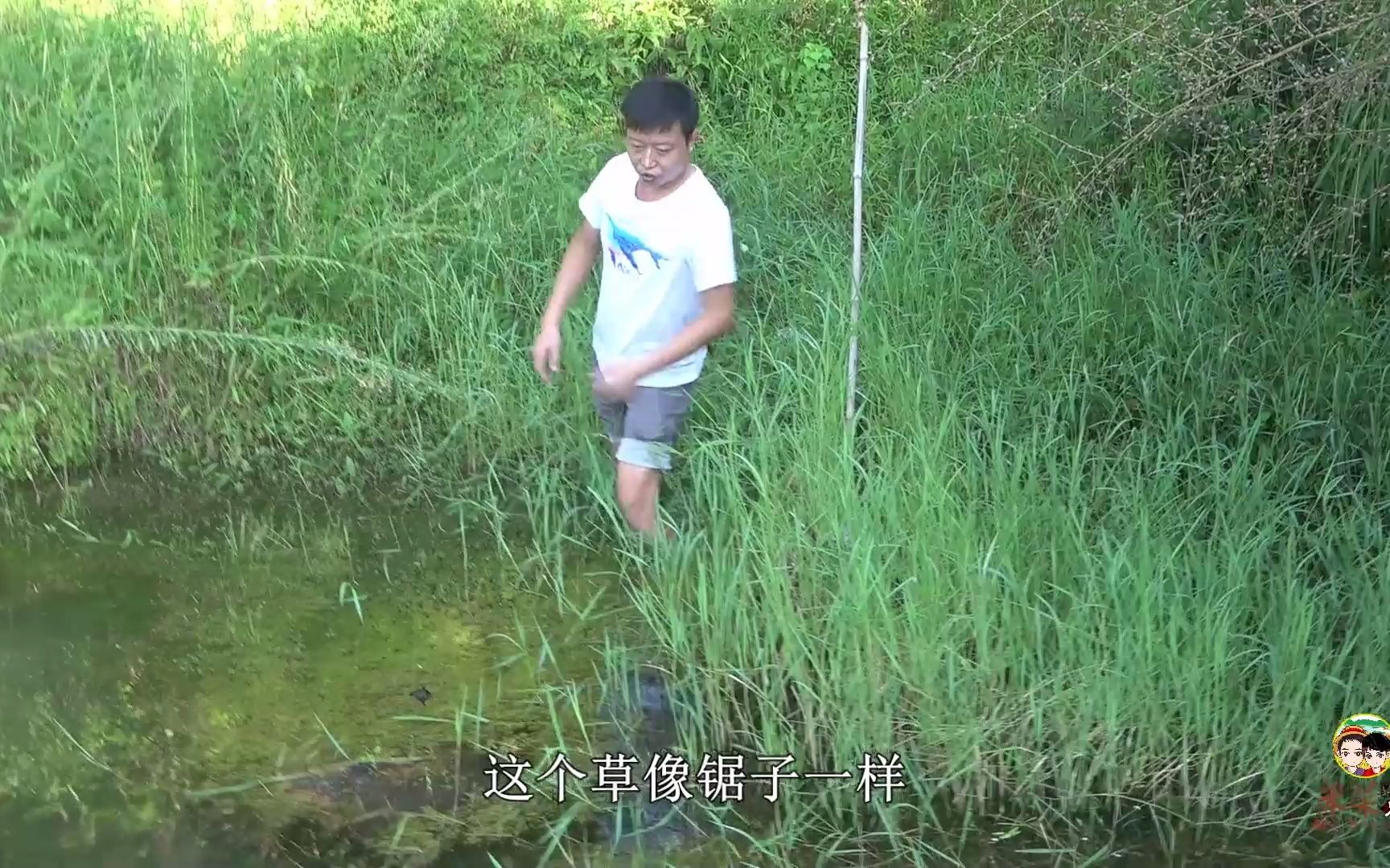 华子下鱼塘看看鱼藏哪里,脚底踩到了啥?吓得一阵心凉