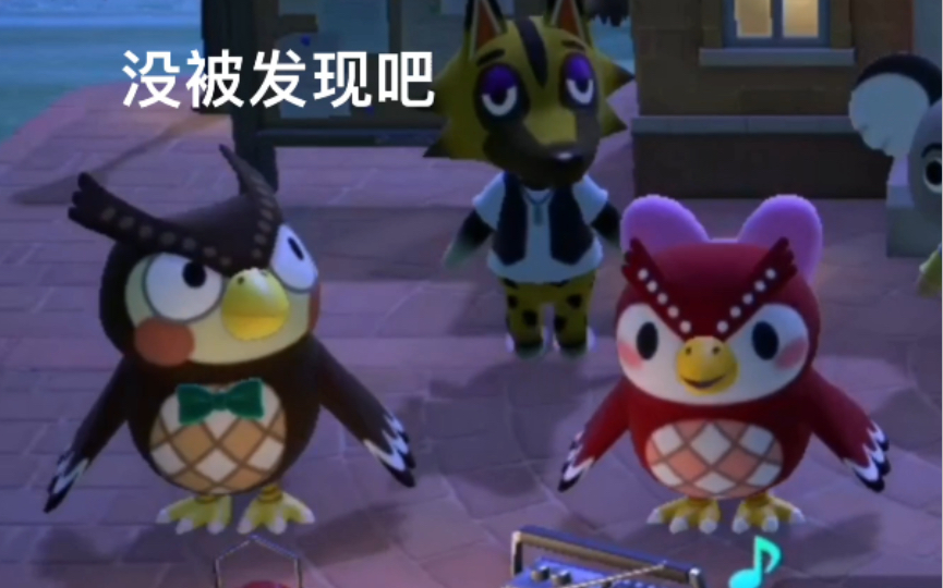 【动森】做操走神儿兄妹组