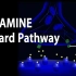 动画 | 神经科学基础：多巴胺的奖励途径