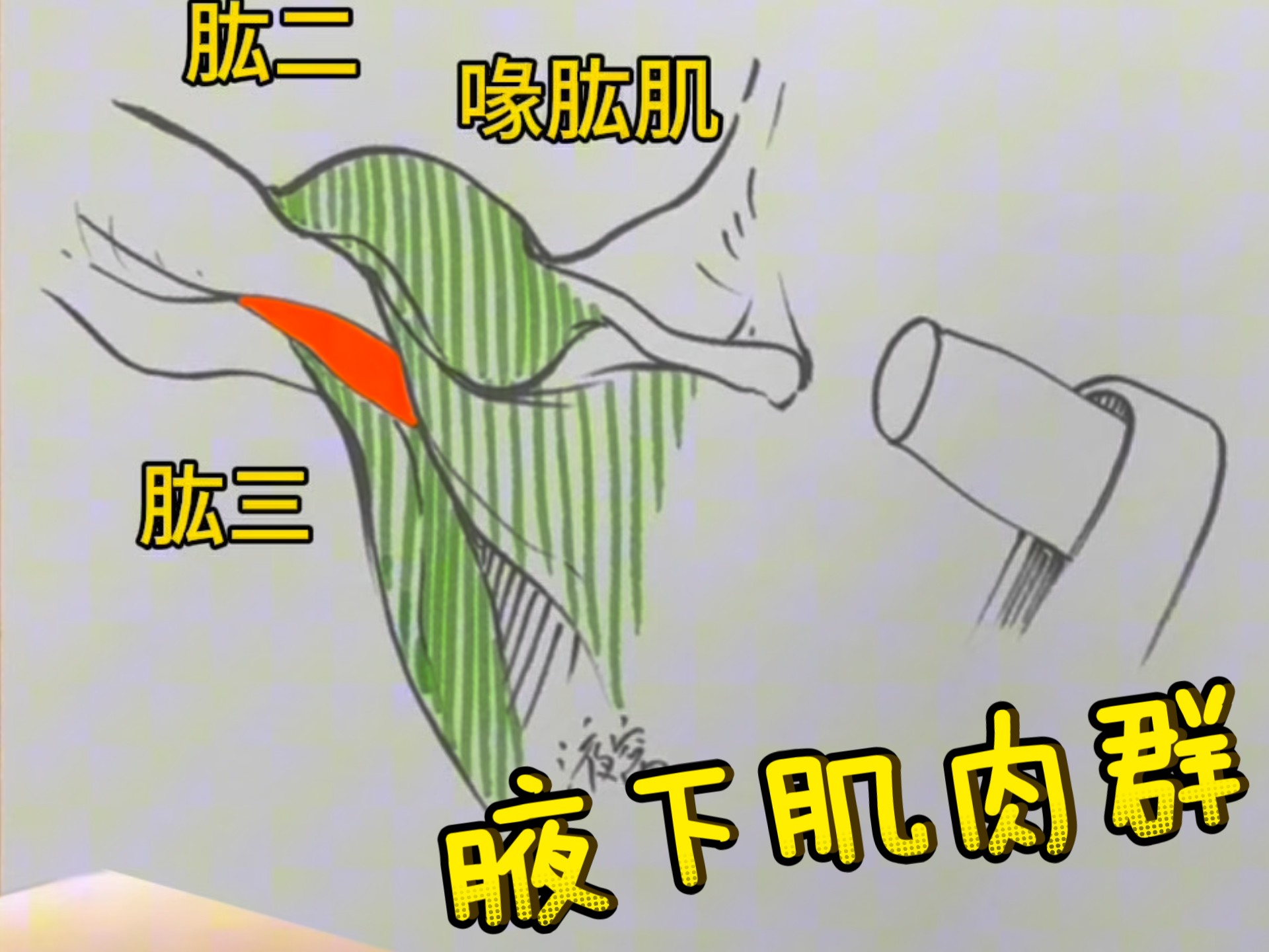 大家挑战成功了！腋窝你会画吗？……