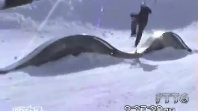对于滑雪初学者的一点忠告_搞笑_娱乐_bilibili频梅雕小视图片