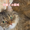 什么样的老嫂子哄不出来呀
