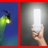5个被大自然启发的发明，LED灯和萤火虫