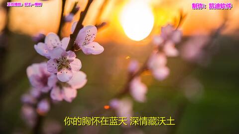 dbf89daf1afb4a519def0127a8d981ccb02d47dc.jpg@480w_270h_1c