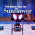 百万级装备听《Sunflower》- Post Malone，Swae Lee【Hi-Res】