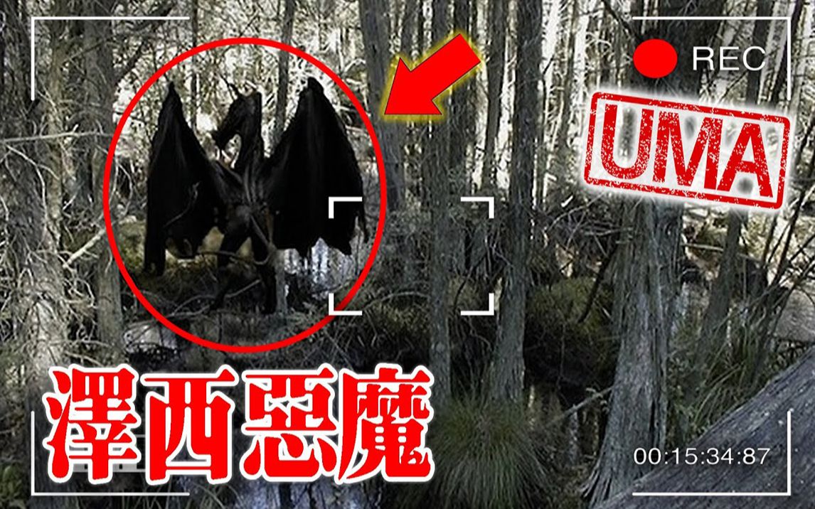 uma档案泽西恶魔松林泥炭地里的恶魔之子恶灵降世搬运