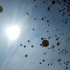 【百日誓师】一千多个氢气球同时放飞！