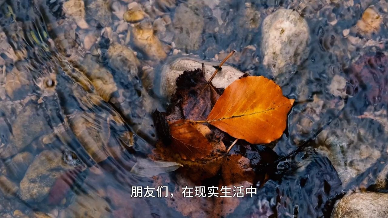 如何真正活出松弛感？你根本不必逼迫自己努力，这才是天道的成事秘诀！无心生大用，有物不通神！