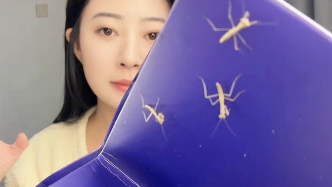 一窝崽子