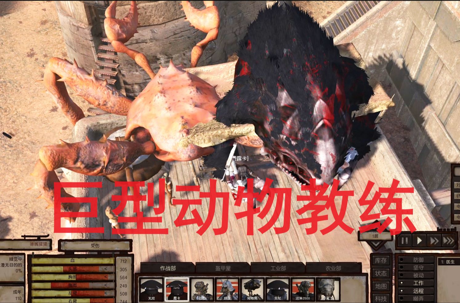 扛回巨型迅猛龙，抓捕巨型螃蟹，集齐五大巨型动物教练 KENSHI原版攻略