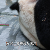 0505 有J手往双总院子里扔垃圾，搞得孩子都有情绪了。今天下午双双院子里被扔了藿香正气水的那种玻璃瓶瓶儿，还有吸管。后续是奶爸给他收回去了，垃圾也被捡走了