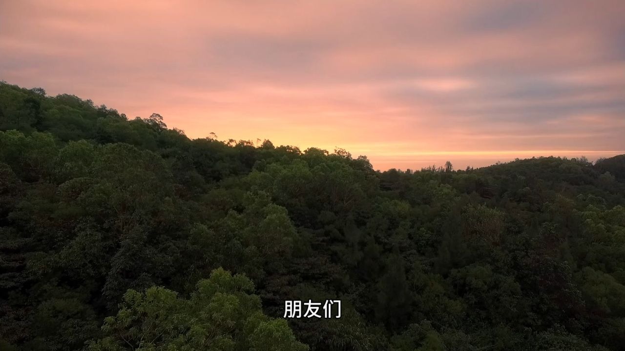 生命的本质是轻松快乐，但为什么我们却体验不到？99%的人都没意识到，从这一步开始我们就活颠倒了！