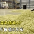 探访茉莉精油工厂：1公斤价值数万元，是什么让它如此昂贵