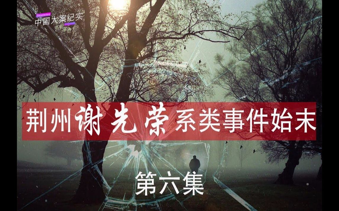 【刑侦大案记实录】荆州谢先荣系列事件第六集