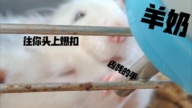 dce63405010f53c2d9e4c9fbb108f1ddf2af0461.jpg@280w_158h_1c_100q.jpg