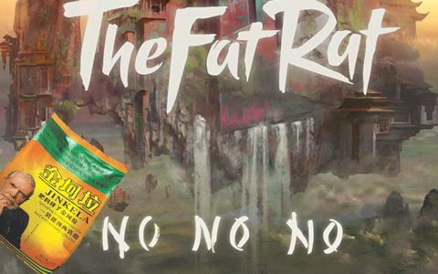 电音金坷垃thefatratnonono