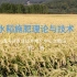 水稻施肥理论与技术   通河县农业技术推广中心土肥站站长 郭雁
