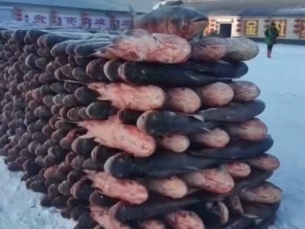 这种鱼还能吃吗