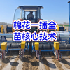 棉花一播全苗核心技术