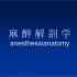 潍坊医学院麻醉解剖学教学视频——腹部1（配套ppt在简介里，自提）
