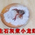 实验：把小龙虾放进生石灰中，加入清水，会把小龙虾煮熟吗？