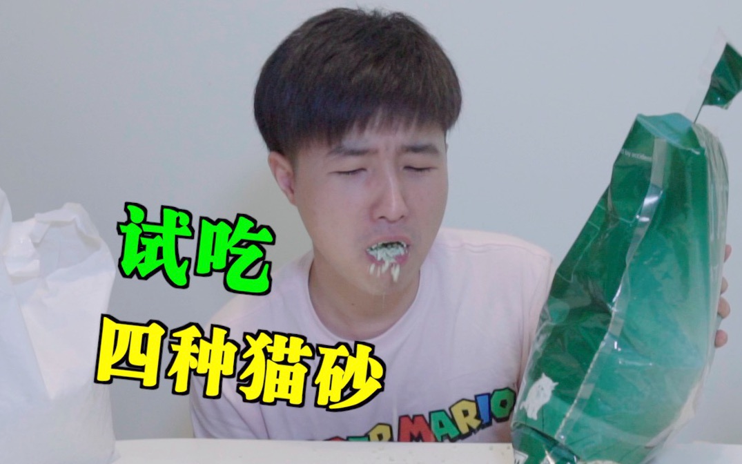 试吃各种猫砂 结果变成了猫砂吸水程度的评测