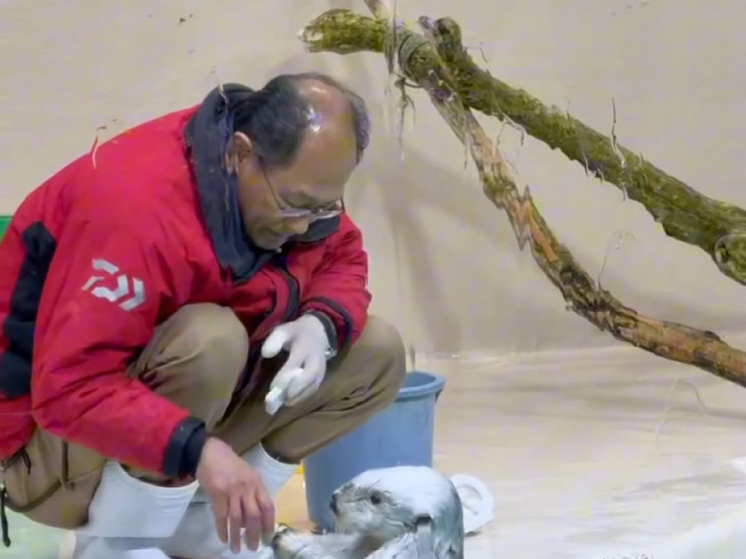下班主动帮忙收玩具，爷爷奖励冰块吃～