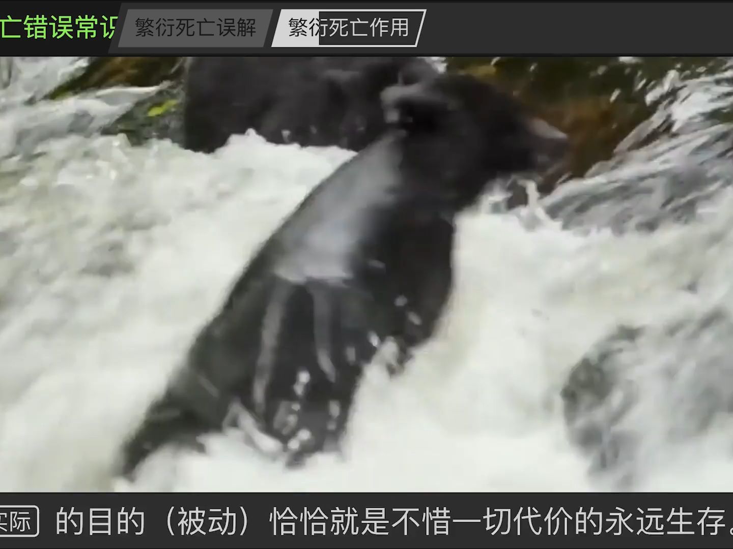 学习观16 感知系统