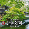 水榭翠影画中行，漫步苏州园林之拙政园 | 漫游中国 | 江苏 苏州 | 4K HDR 云旅行 沉浸式 漫步 POV 旅行 白噪音