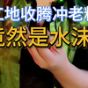 工地收得腾冲老料，粉丝帮我看看是不是水沫