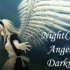【听歌向】Nightcore - Angel of Darkness