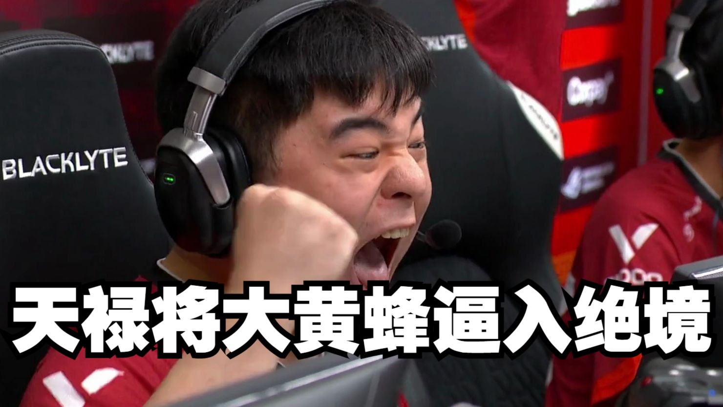 中国天禄将大黄蜂逼入绝境 做到了真正的虽败犹荣