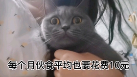 ddd8267319938fecf48265cbff68e094be01e253.jpg@280w_158h_1c_100q.jpg