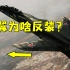 把机翼反着装到底啥原理？揭秘功败垂成的前掠翼战机苏-47