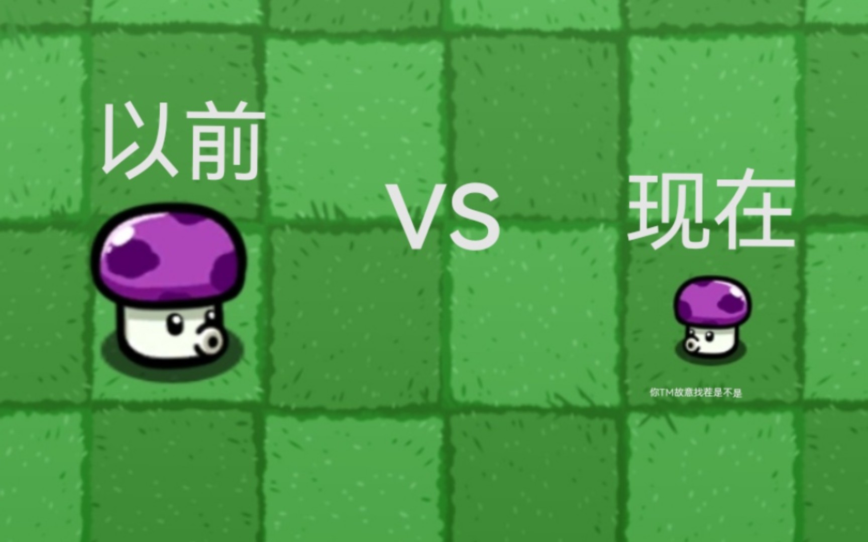 以前的小喷菇vs现在的小喷菇