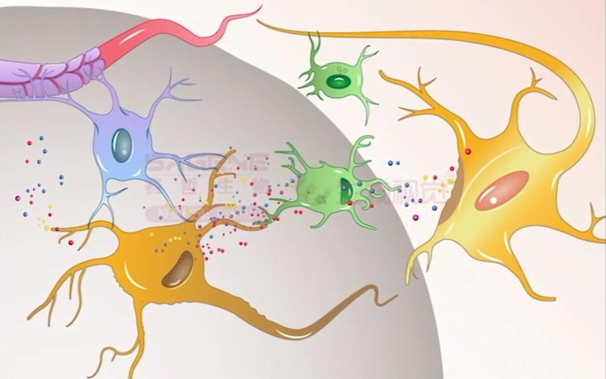 【生物视觉】大神教你一分钟绘制论文插图——nerve cells