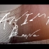 【刀剑神域 爱丽丝篇 异界战争 -终章-完整版OPMV】ReoNa - ANIMA Music Video