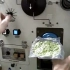 加拿大宇航员在国际空间站烹调菠菜