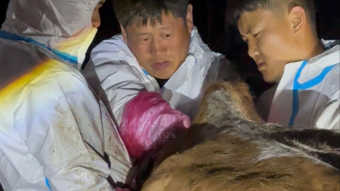 这是一条《参半牙膏》的广告