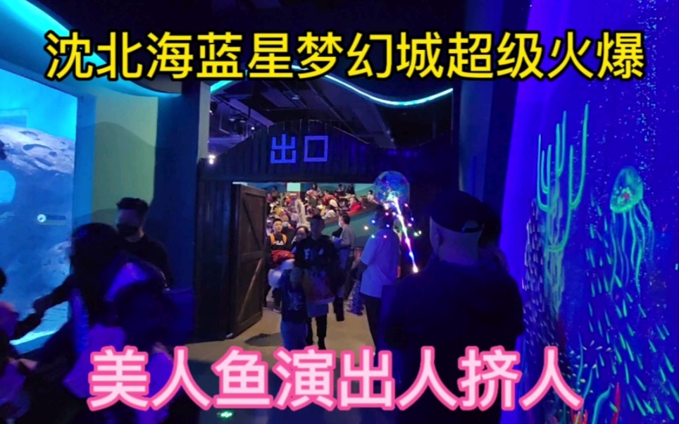 沈北海蓝星梦幻城超级火爆，二楼的美人鱼剧场和海底隧道人挤人。