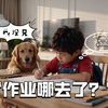 幼儿园《侦探系列》19“作业丢了”以后写完的作业要及时收好，可别像我一样丢三落四