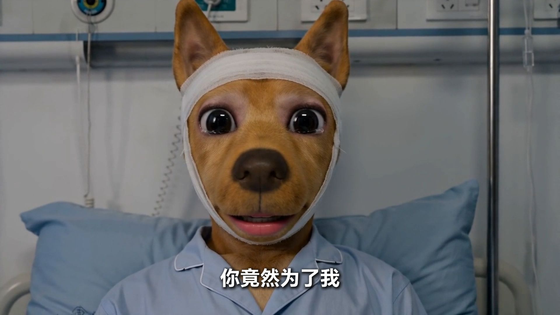 臭布鲁斯