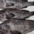 胶东大厨分享“油泼黑鱼”的做法，详细易学美味，果断收藏了