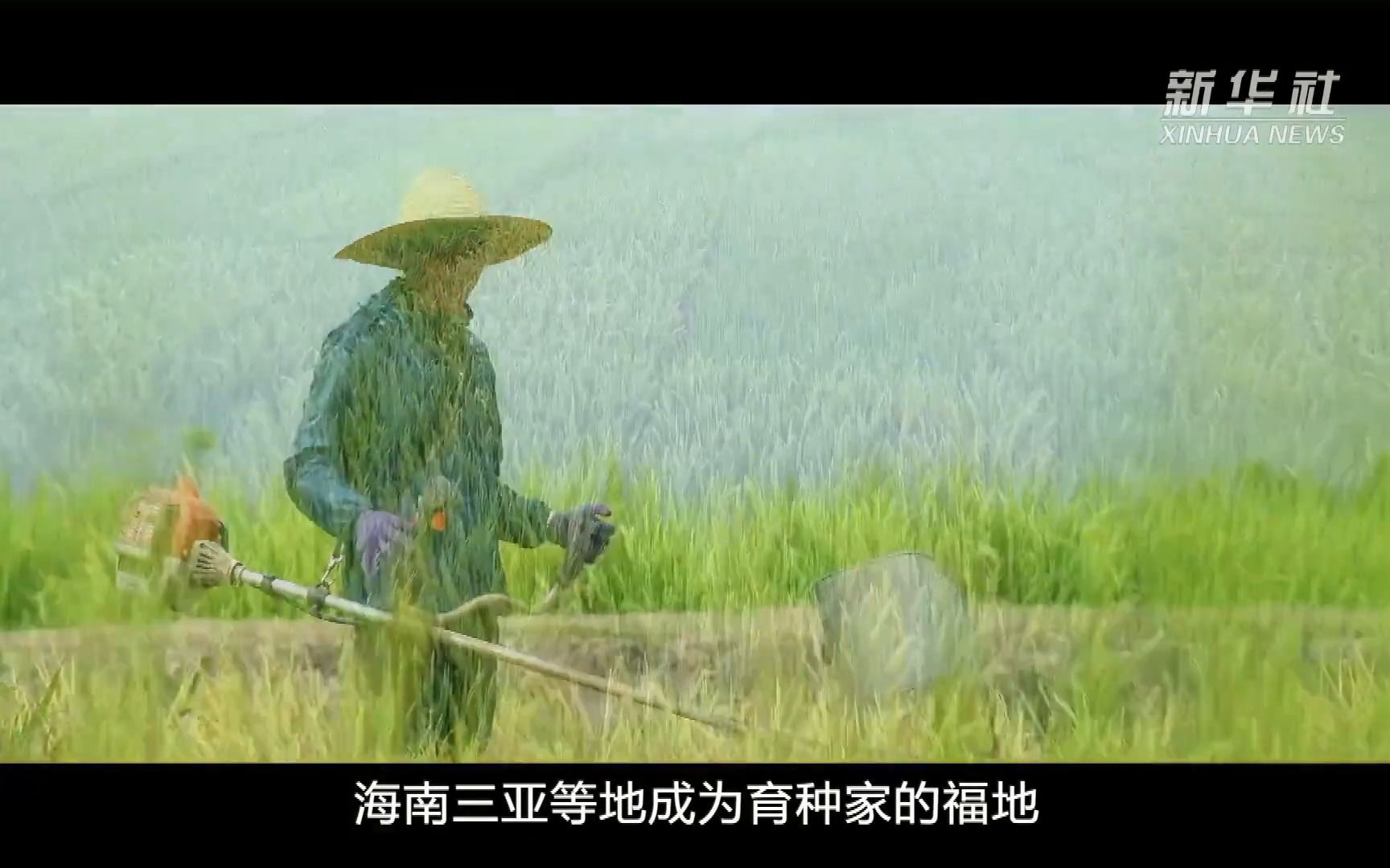 让中国人的饭碗牢牢端在自己手中