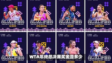 <em class="keyword">WTA年终总决赛</em>奖金是多少？