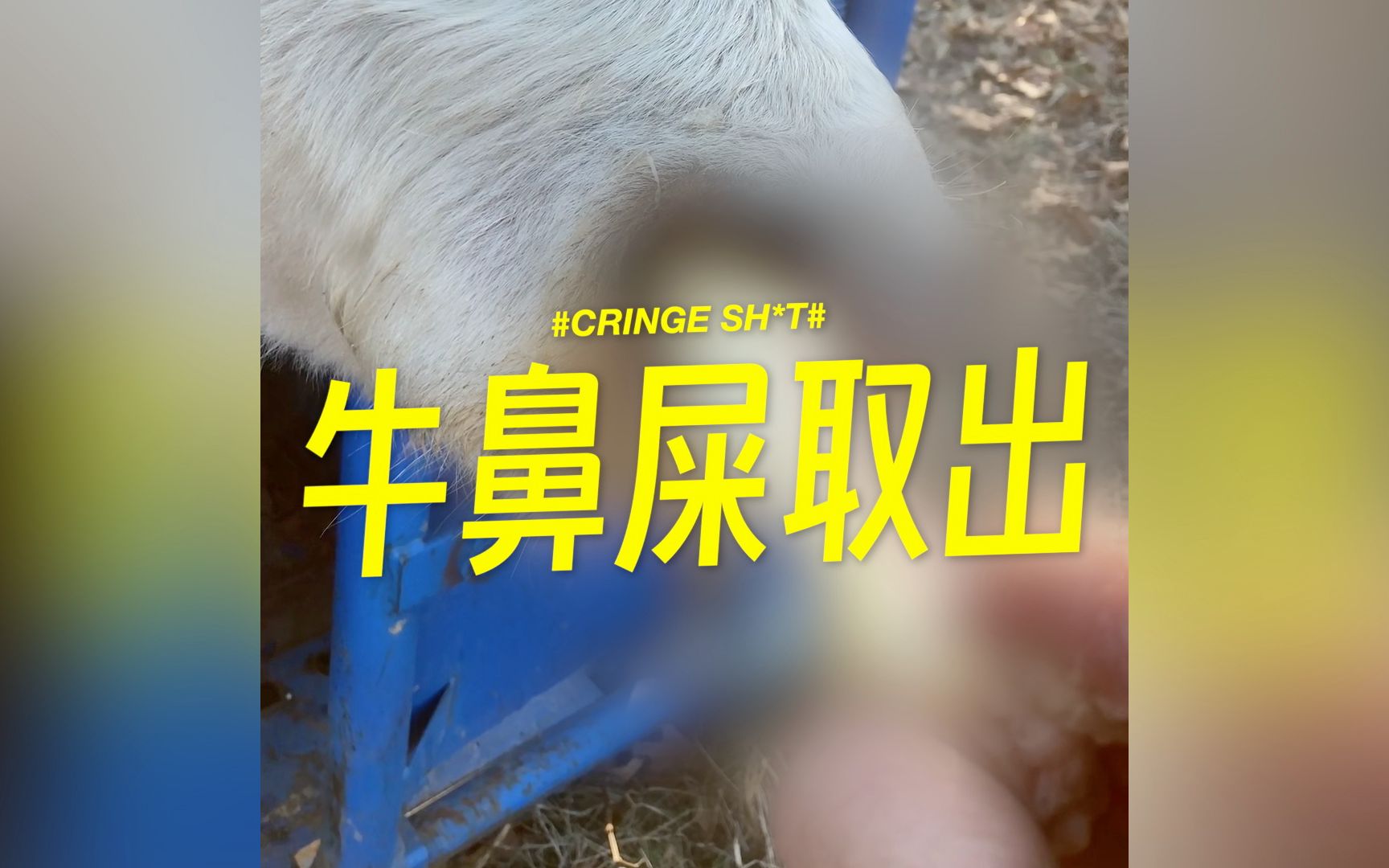 internet boy internet boy internet-boy-internet-boy