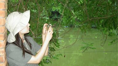 用了几十台<em class="keyword">ccd</em>后总结出：0废片万能公式