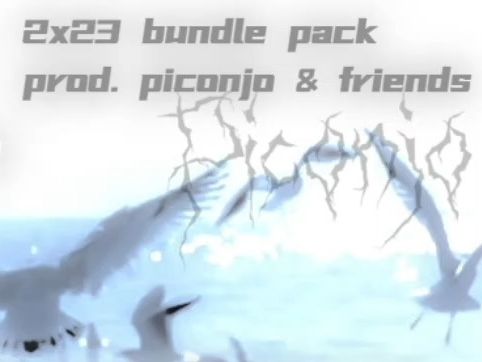2x23 bundle pack vol.2 (w/ friends)