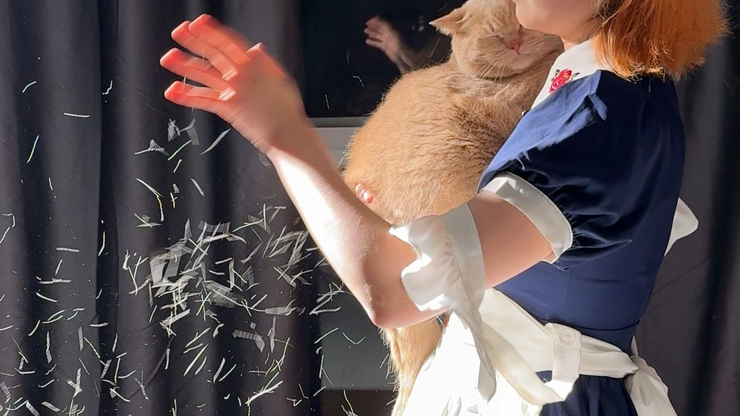 请用女仆刀削猫 2